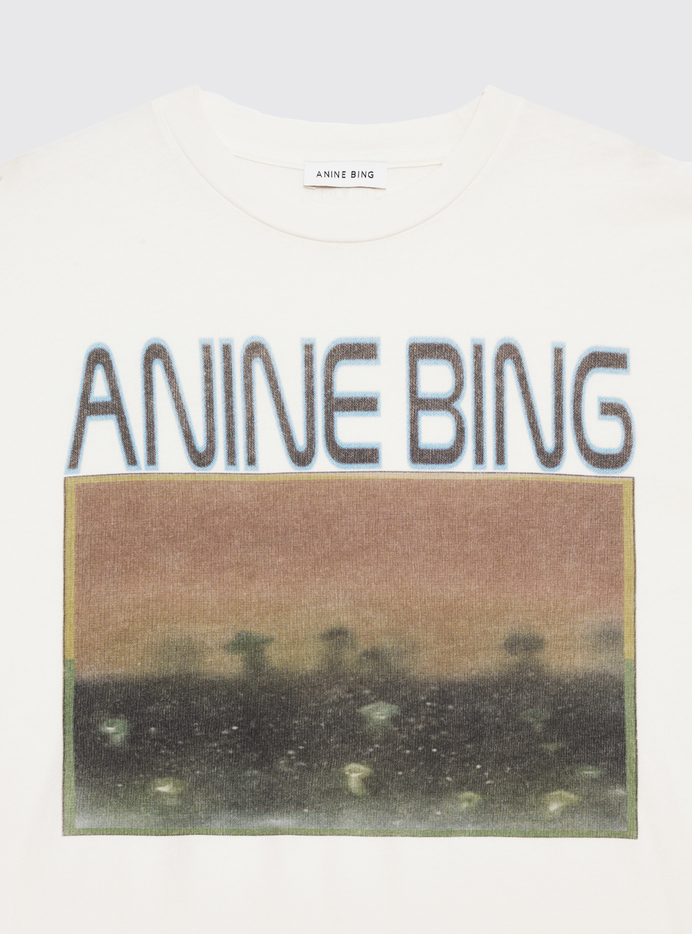 【ANINE BING】 ケイド・マッシュルームTシャツ ANINE BING Cade Mushrooms Tee in Off White | REVOLVE